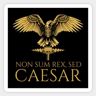 Ancient Rome - Non Sum Rex, Sed Caesar - Latin Language Magnet